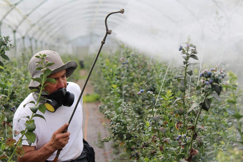 Understanding Pesticides What Are They and Why Are They Used